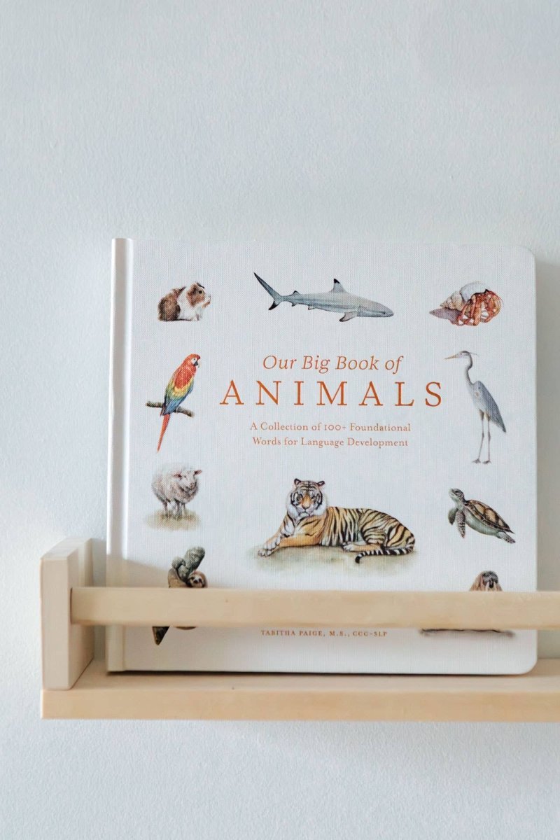 Our Big Book of Animals (Board Book) - Paige Tate & Co. Books sold by Rosebud & Jo