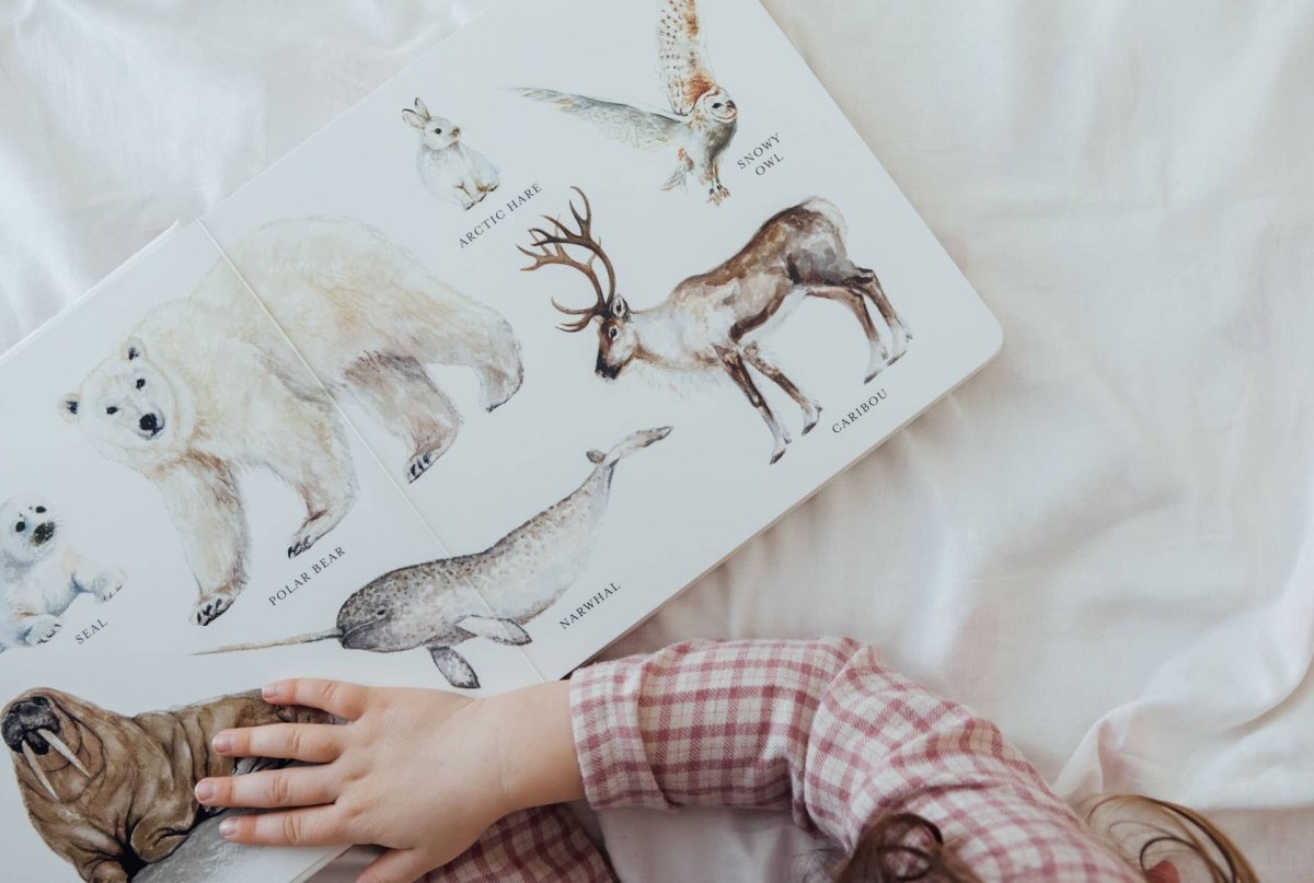 Our Big Book of Animals (Board Book) - Paige Tate & Co. Books sold by Rosebud & Jo