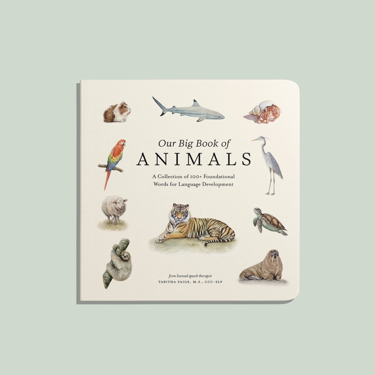 Our Big Book of Animals (Board Book) - Paige Tate & Co. Books sold by Rosebud & Jo