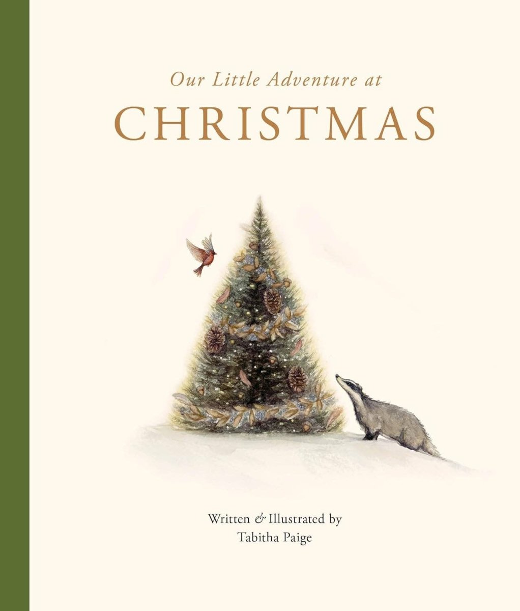 Our Little Adventure at Christmas - Paige Tate & Co. Book sold by Rosebud & Jo