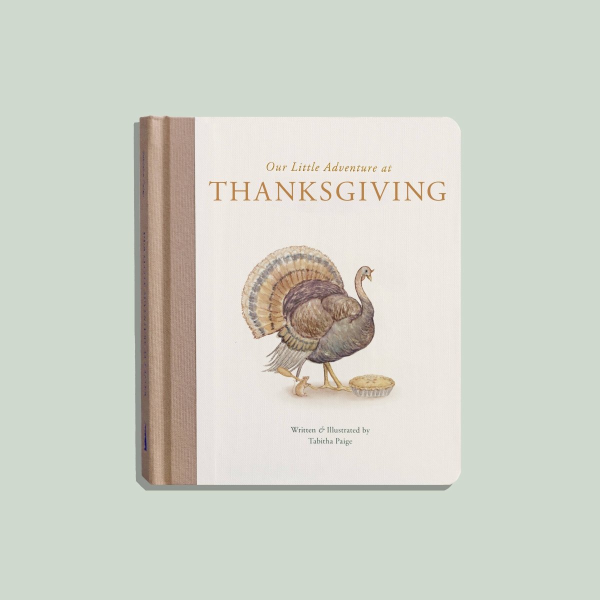 Our Little Adventure at Thanksgiving - Paige Tate & Co. Books sold by Rosebud & Jo