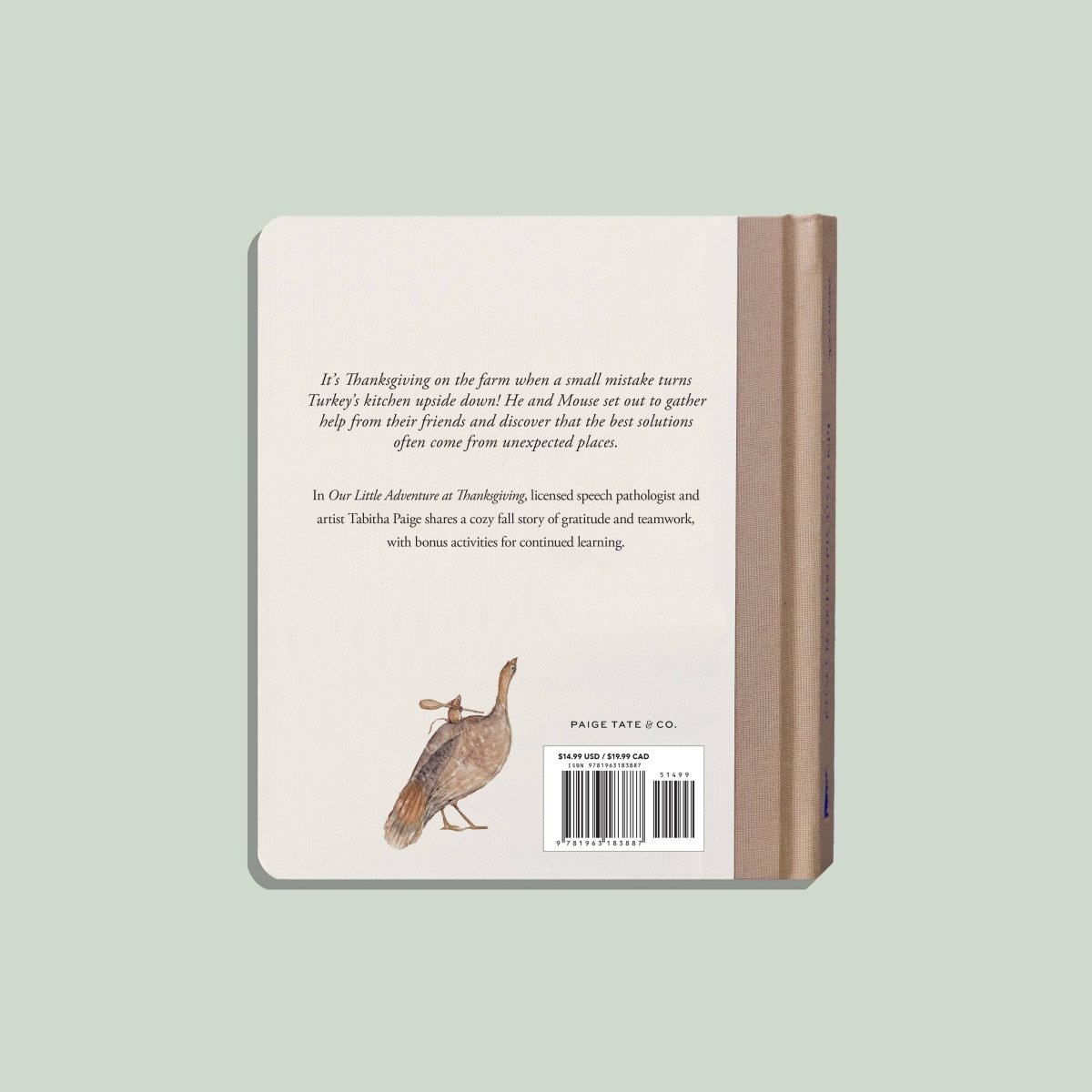 Our Little Adventure at Thanksgiving - Paige Tate & Co. Books sold by Rosebud & Jo