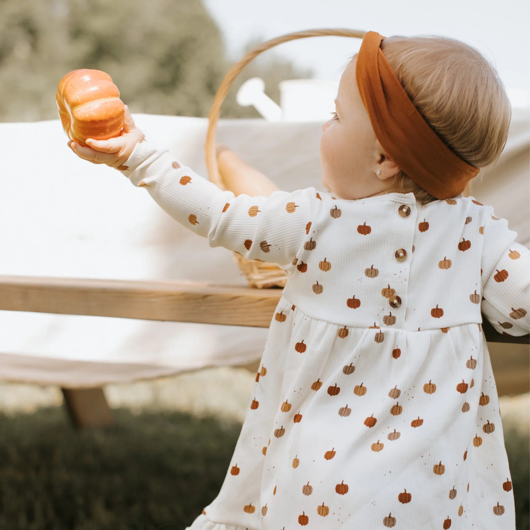 Pumpkin Dress Set