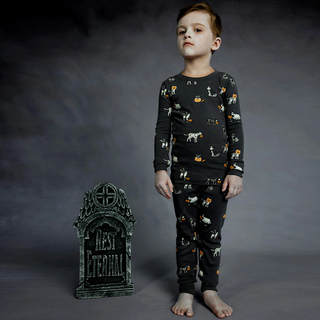 Spooky Season PJ Set (Dog)