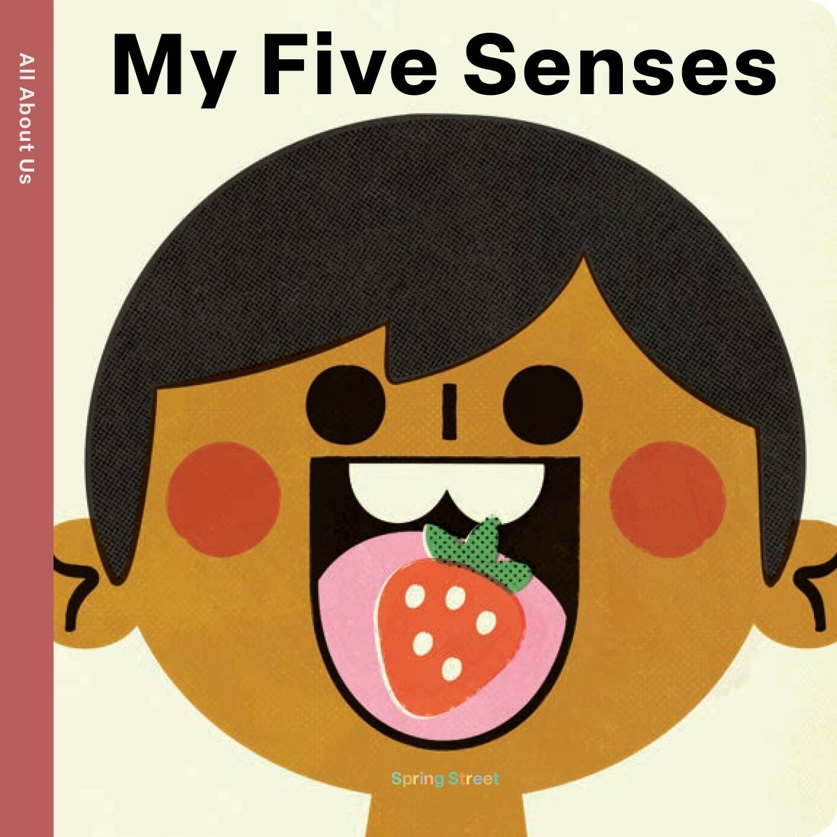 Spring Street All About Us: My Five Senses - Hachette Book Group Books sold by Rosebud & Jo