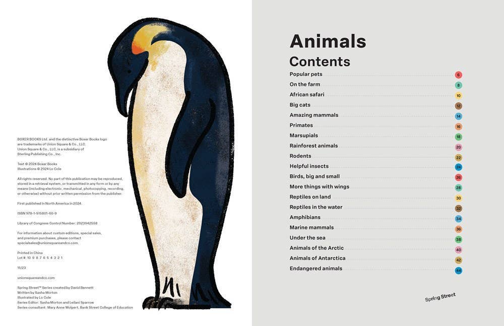 Spring Street Discover: Animals - Hachette Book Group Books sold by Rosebud & Jo