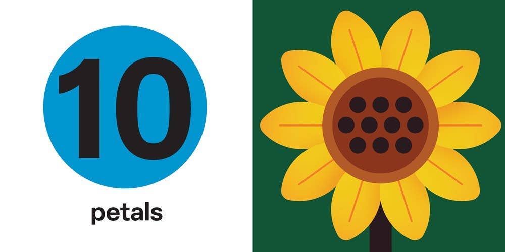 Spring Street Touch and Trace: Numbers - Hachette Book Group Books sold by Rosebud & Jo