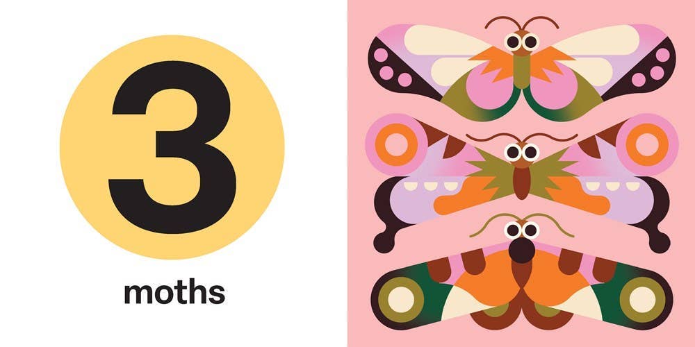 Spring Street Touch and Trace: Numbers - Hachette Book Group Books sold by Rosebud & Jo