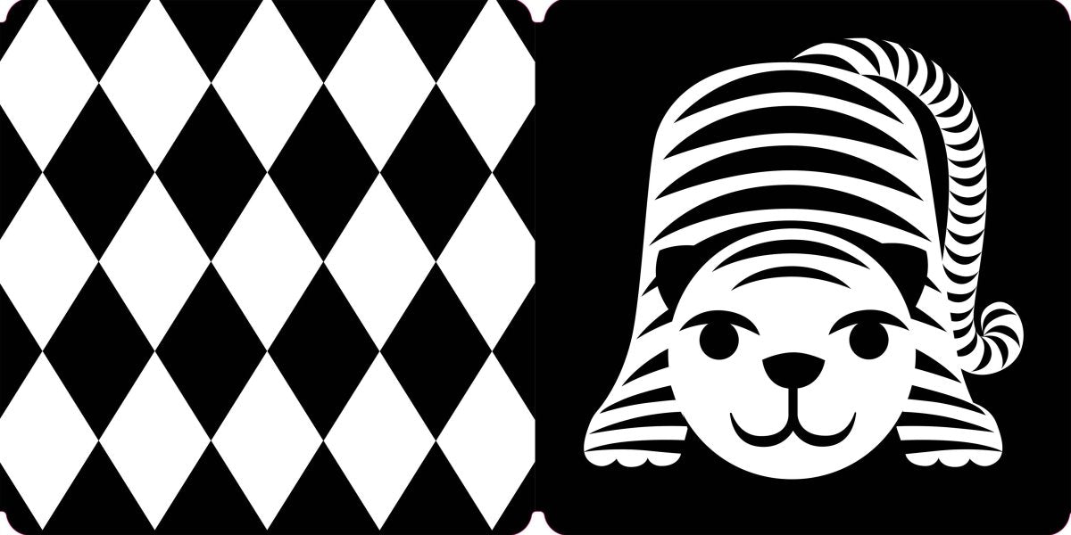 Spring Street Tummy Time: Baby's First Book in Black & White - Hachette Book Group Books sold by Rosebud & Jo