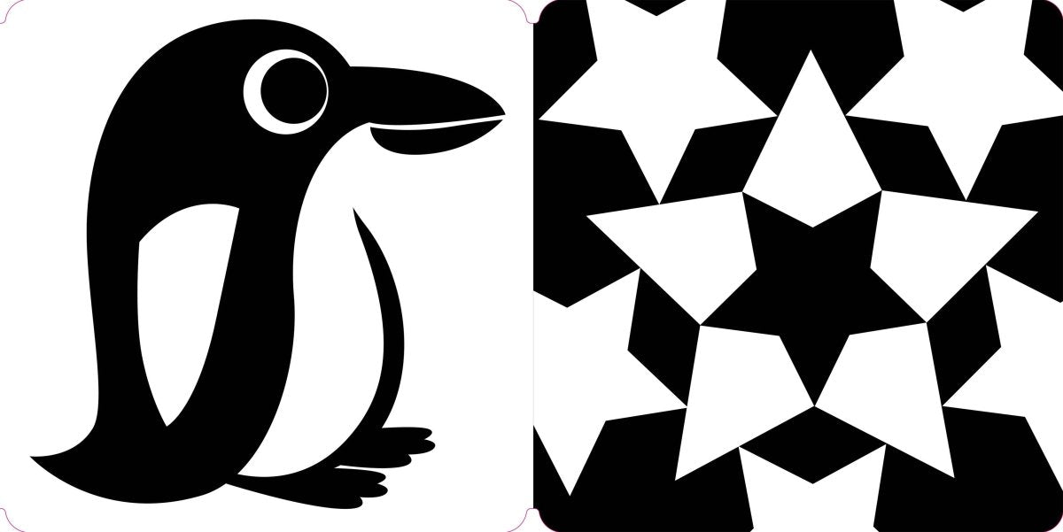 Spring Street Tummy Time: Baby's First Book in Black & White - Hachette Book Group Books sold by Rosebud & Jo
