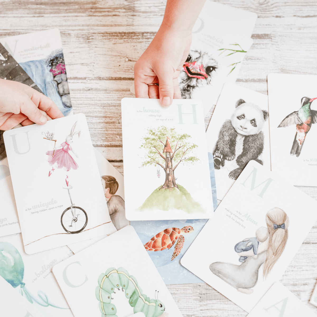 The Amazing ABC Flash Cards – Watercolor Alphabet Learning for Toddlers & Preschoolers - Adored Illustrations by Rosebud & Jo