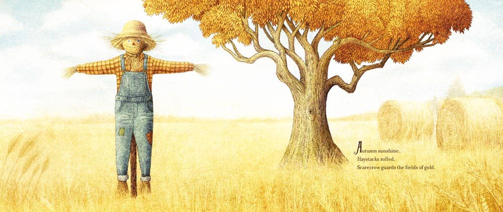 The Scarecrow by Beth Ferry - HarperCollins Book sold by Rosebud & Jo