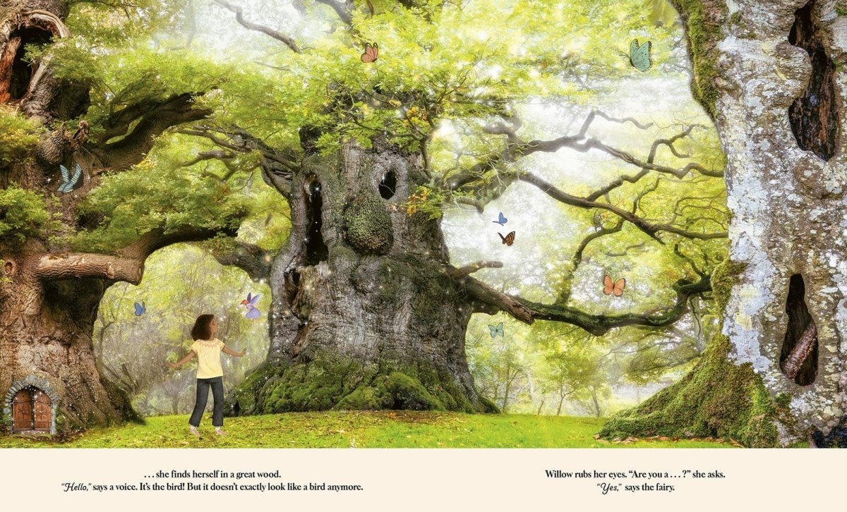 Through the Fairy Door - Abrams Books sold by Rosebud & Jo