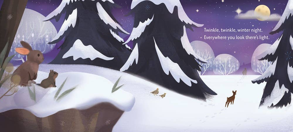 Twinkle, Twinkle, Winter Night by Megan Litwin - HarperCollins Book sold by Rosebud & Jo