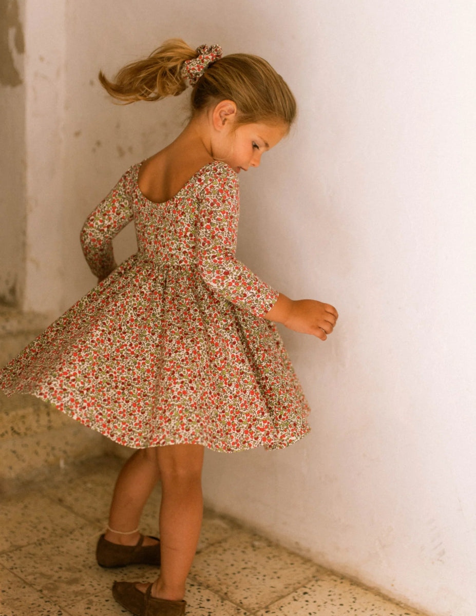 Twirl Dress in Crimson Flora - Good Apples Kids Baby & Toddler Clothing sold by Rosebud & Jo