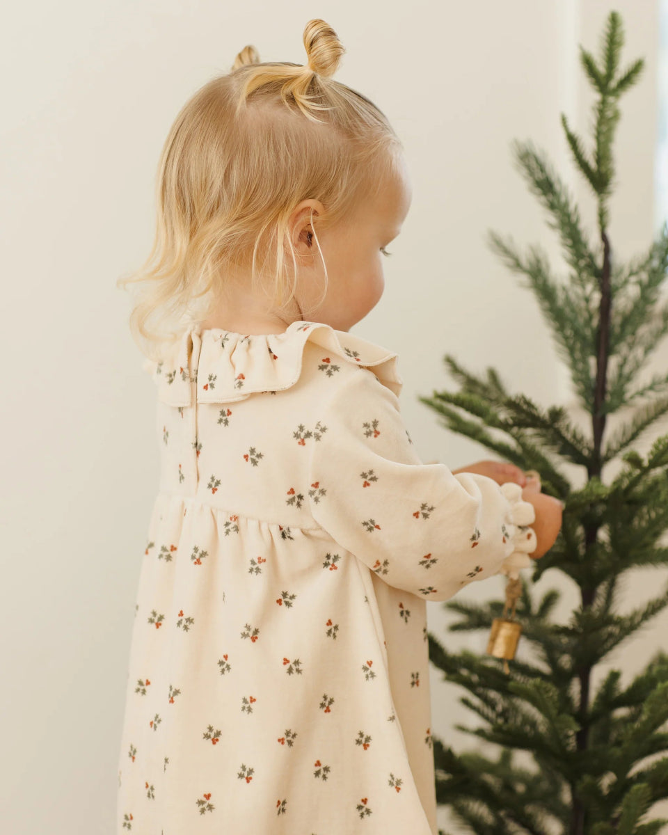 Velour Baby Dress in Holly Berry - Quincy Mae Baby & Toddler Clothing sold by Rosebud & Jo