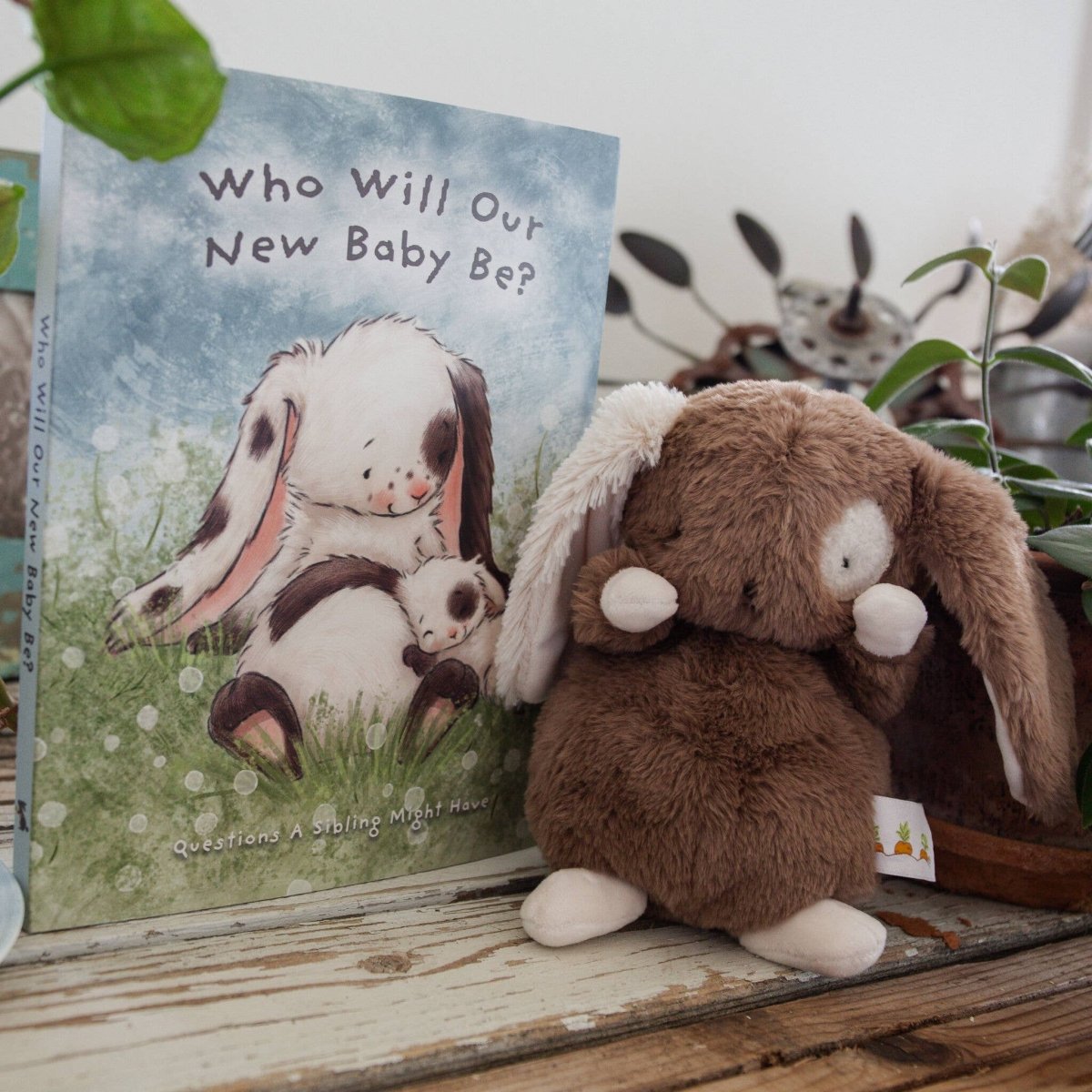 Who Will Our New Baby Be? - Bunnies By the Bay Books sold by Rosebud & Jo