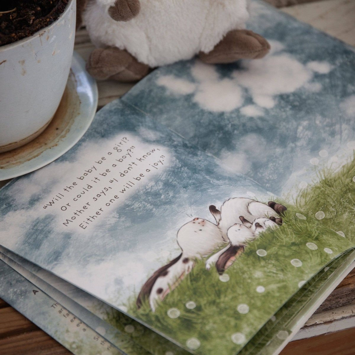 Who Will Our New Baby Be? - Bunnies By the Bay Books sold by Rosebud & Jo