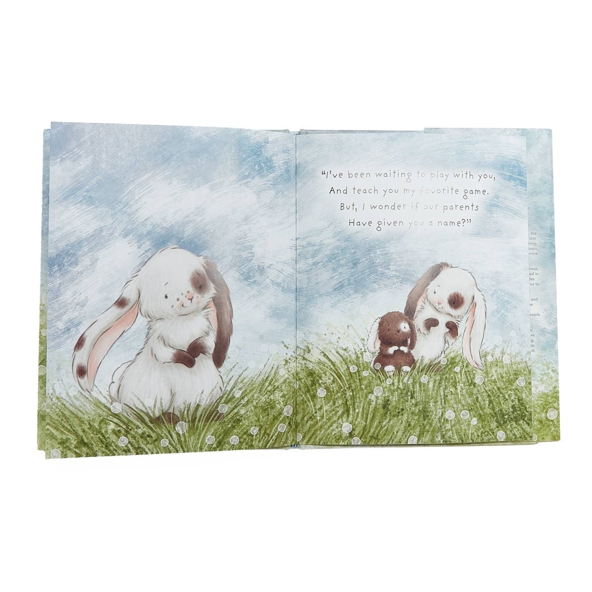 Who Will Our New Baby Be? - Bunnies By the Bay Books sold by Rosebud & Jo