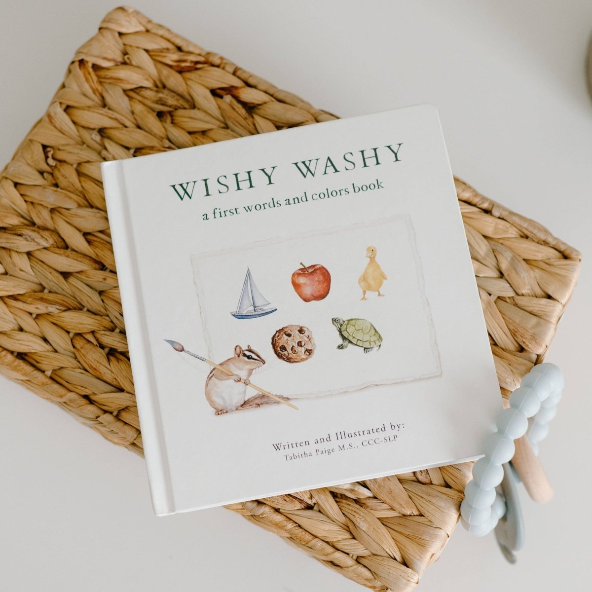 Wishy Washy: A Board Book of First Words and Colors - Paige Tate & Co. Book sold by Rosebud & Jo